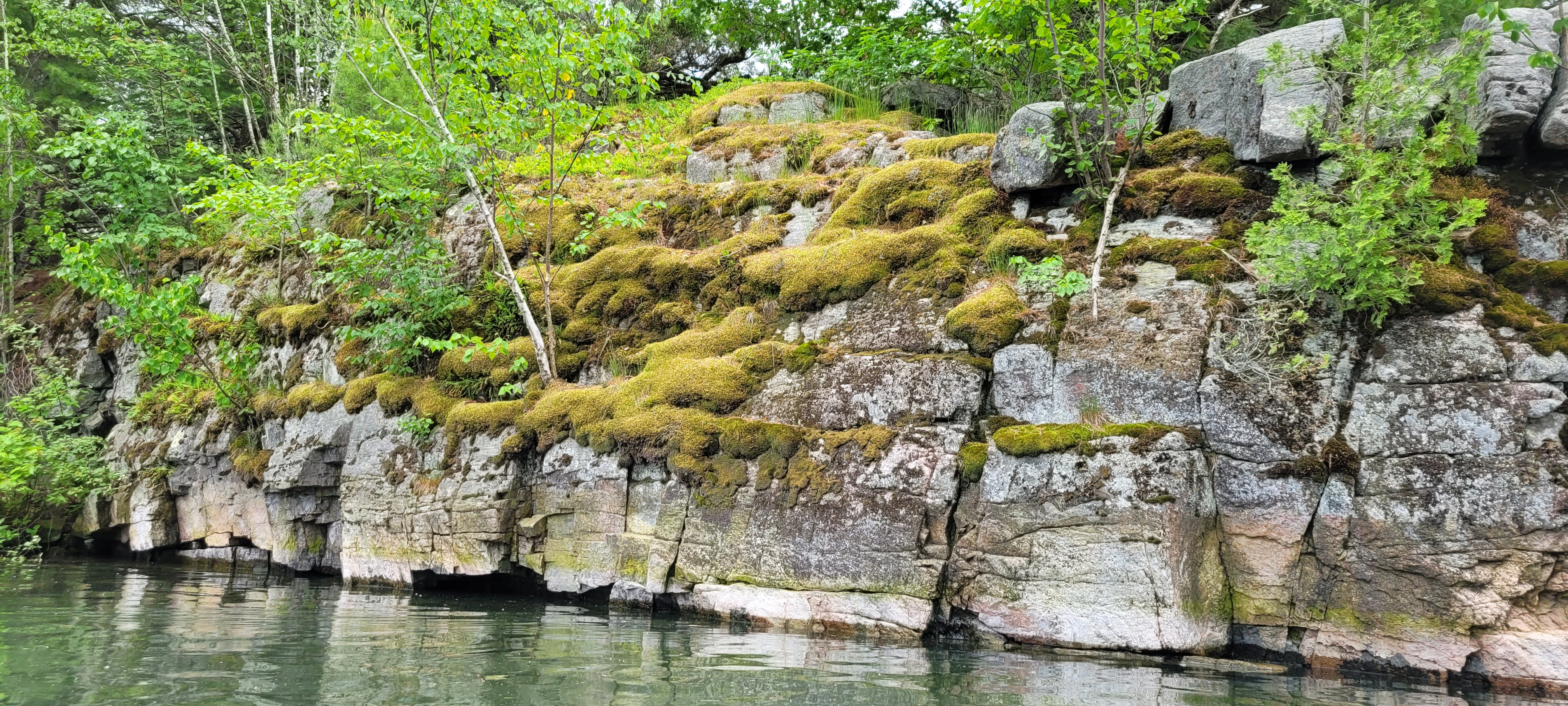 Moss covered rocks and trees in the Thousand Islands in Ontario Canada